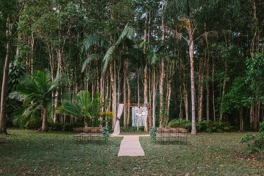 Ceremony set among tall palms and eucalypts in the Enchanted Forest